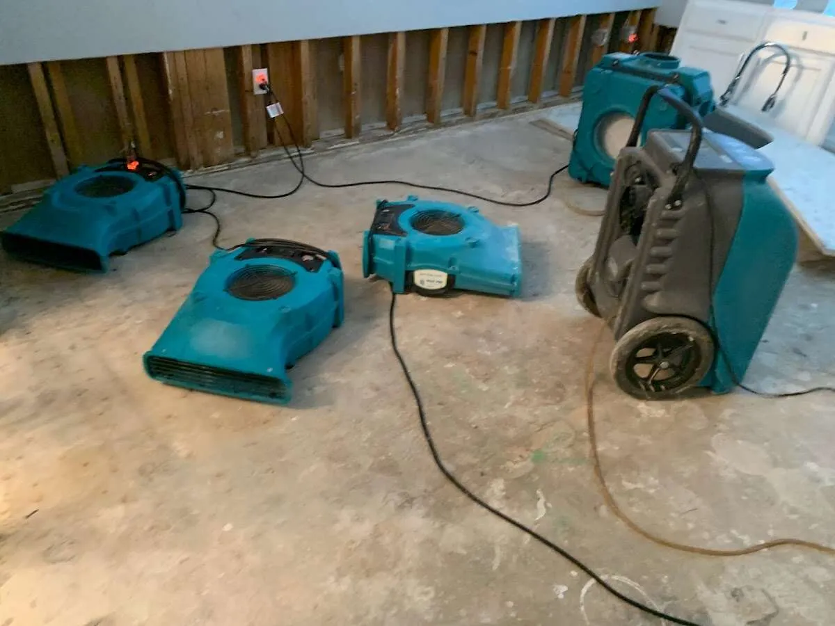 Water Damage Restoration services in Springfield, PA